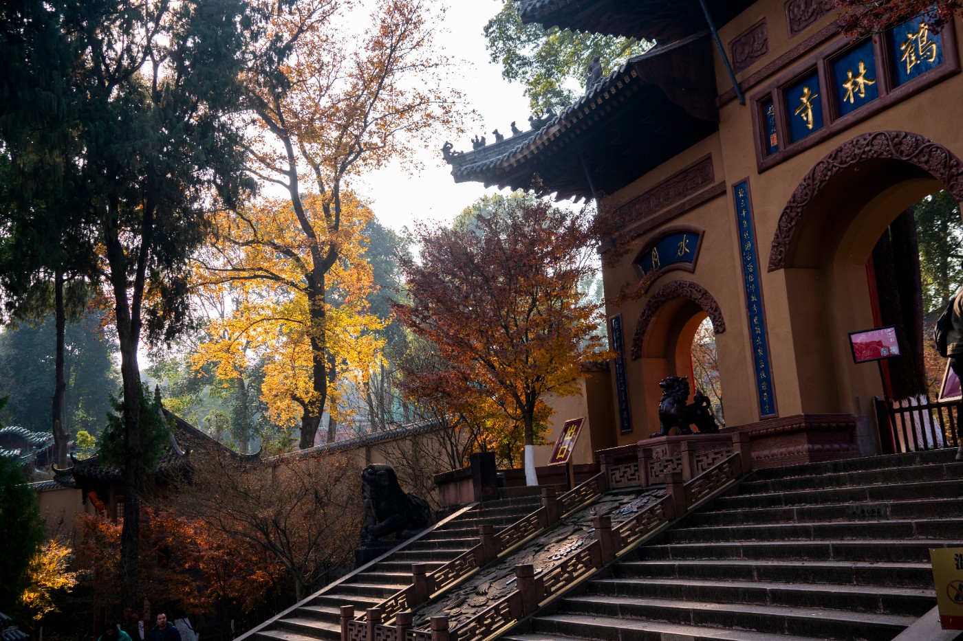 DSC08444 ����.jpg