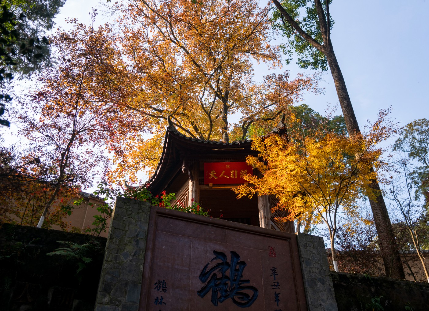 DSC08441 ����.jpg