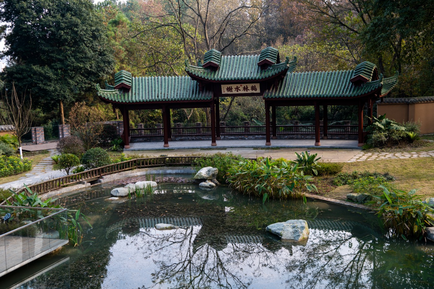 DSC08454 ����.jpg