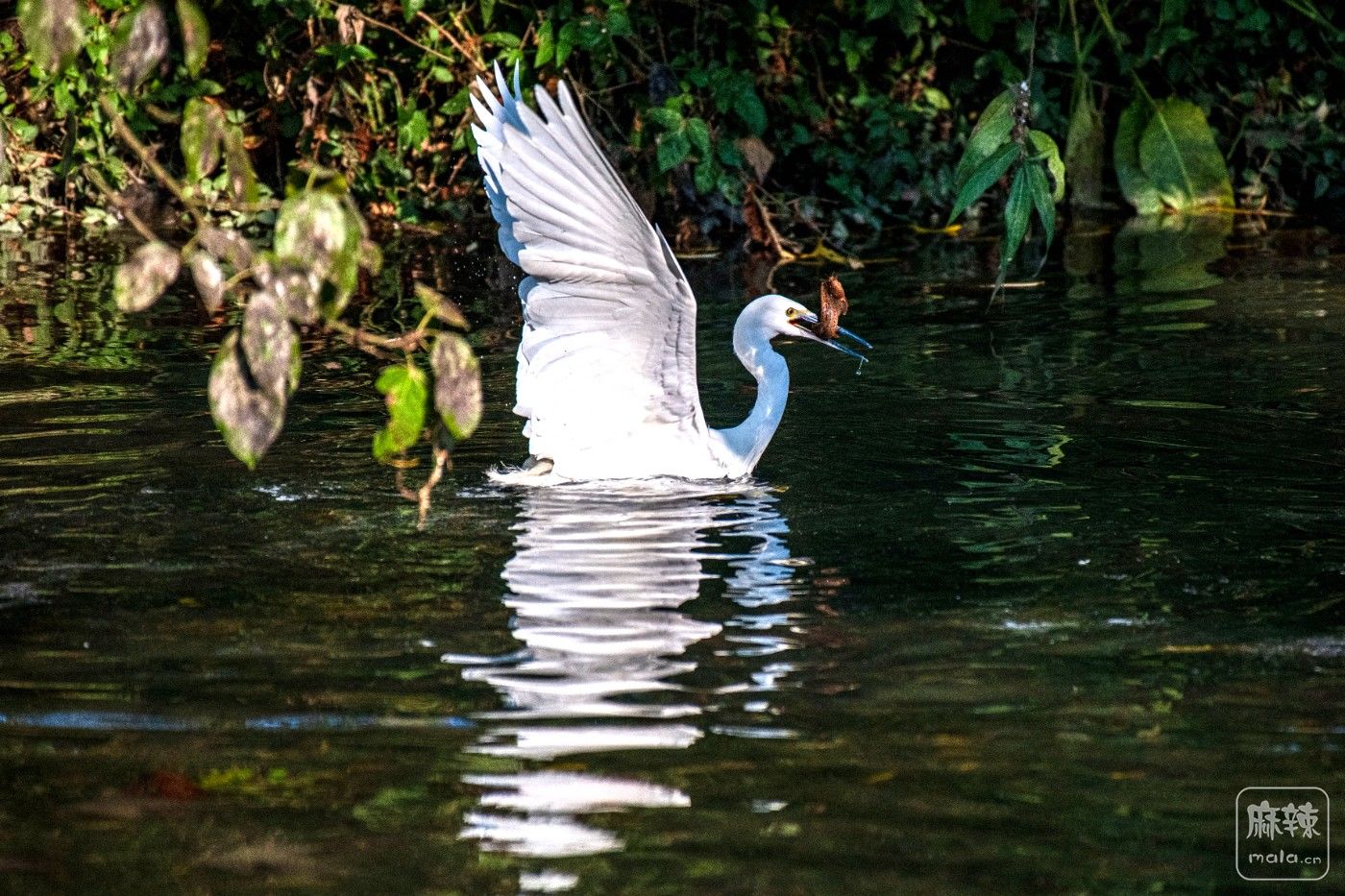 DSC_7692 ����.jpg