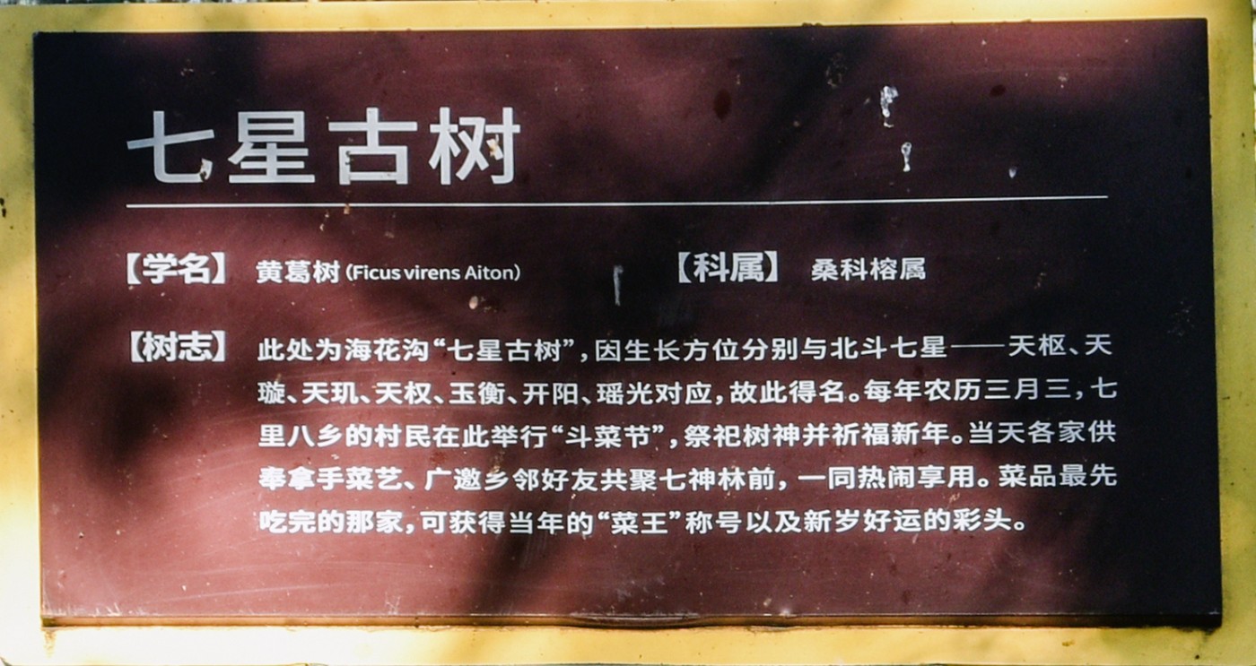 ����ǧ�˰�̬88