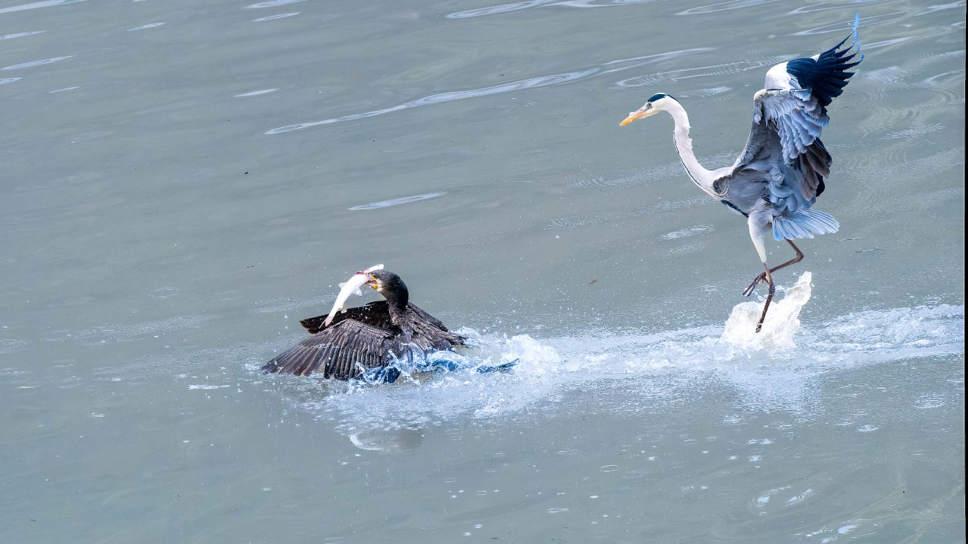 _C160216-ORF_DxO_DeepPRIMEXD ����.jpg