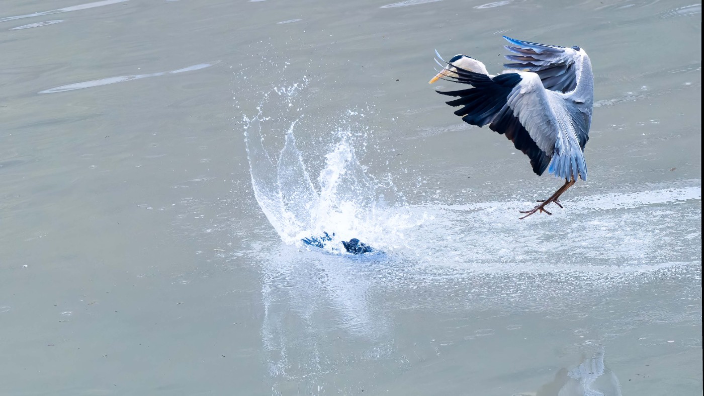 _C160228-ORF_DxO_DeepPRIMEXD ����.jpg