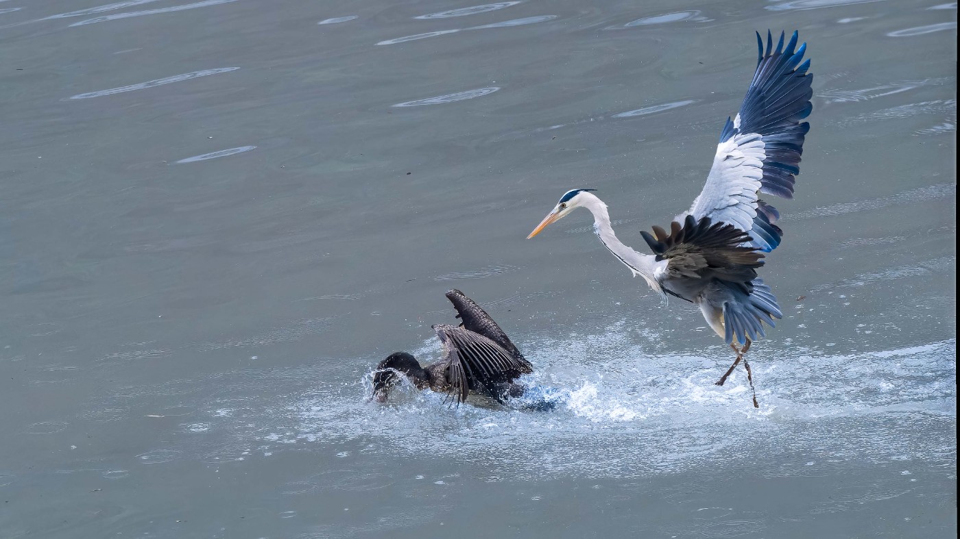 _C160221-ORF_DxO_DeepPRIMEXD ���� 2.jpg