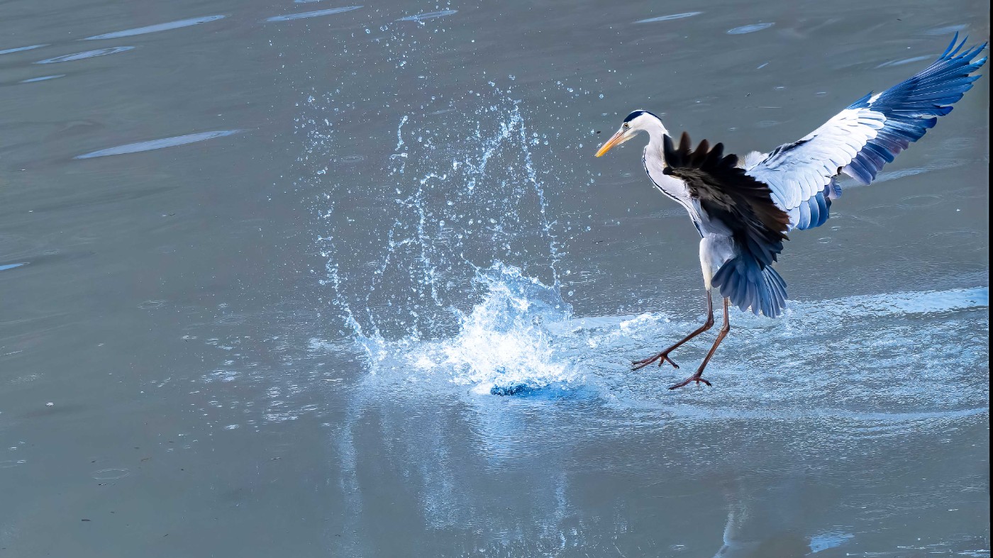 _C160230-ORF_DxO_DeepPRIMEXD ����.jpg