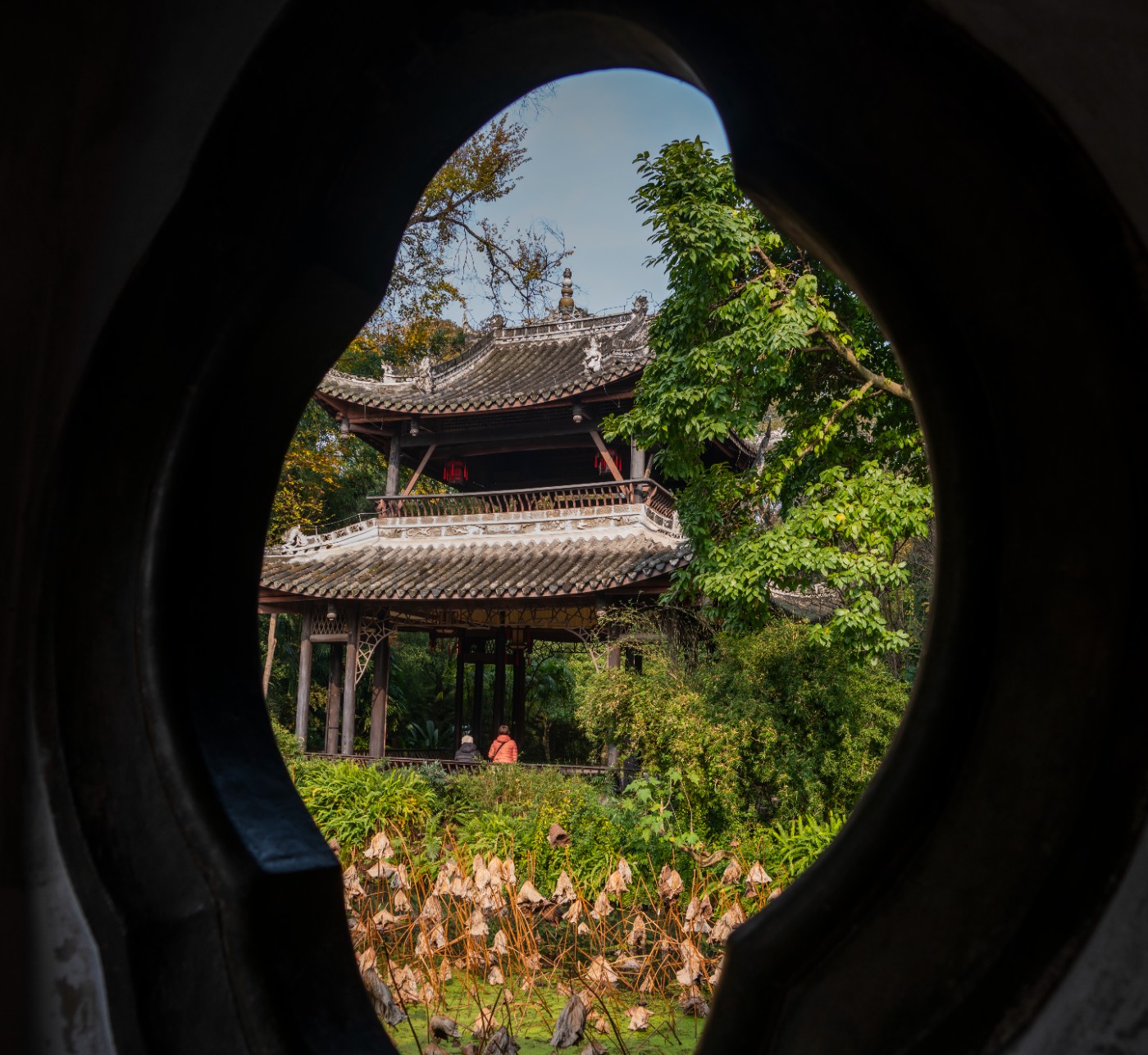 DSC08475 ����.jpg