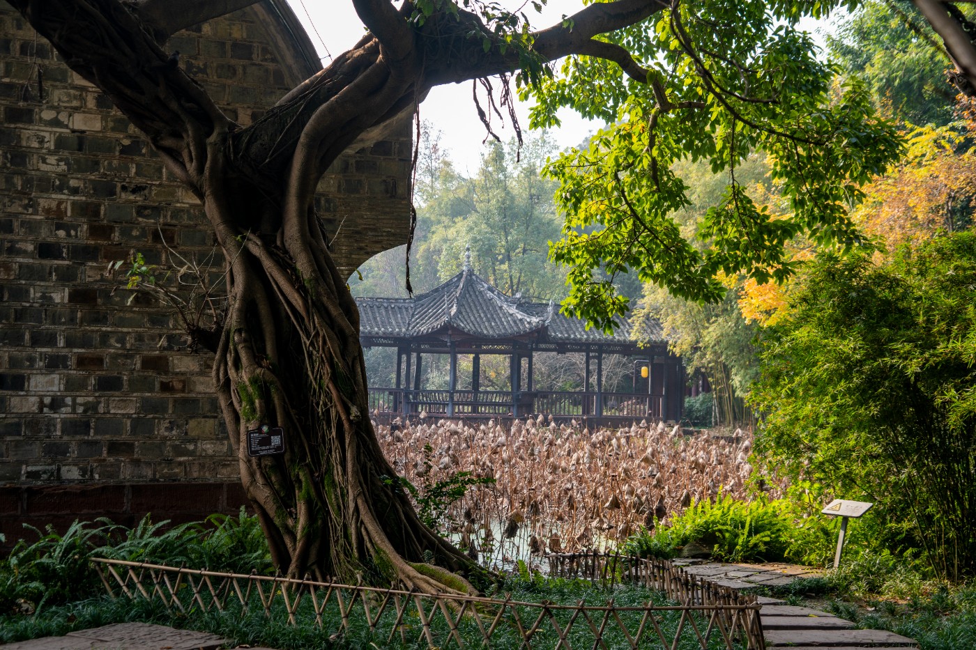 DSC08485 ����.jpg