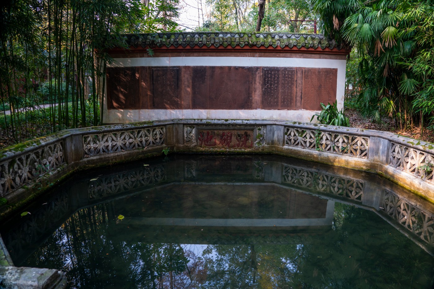 DSC08522 ����.jpg