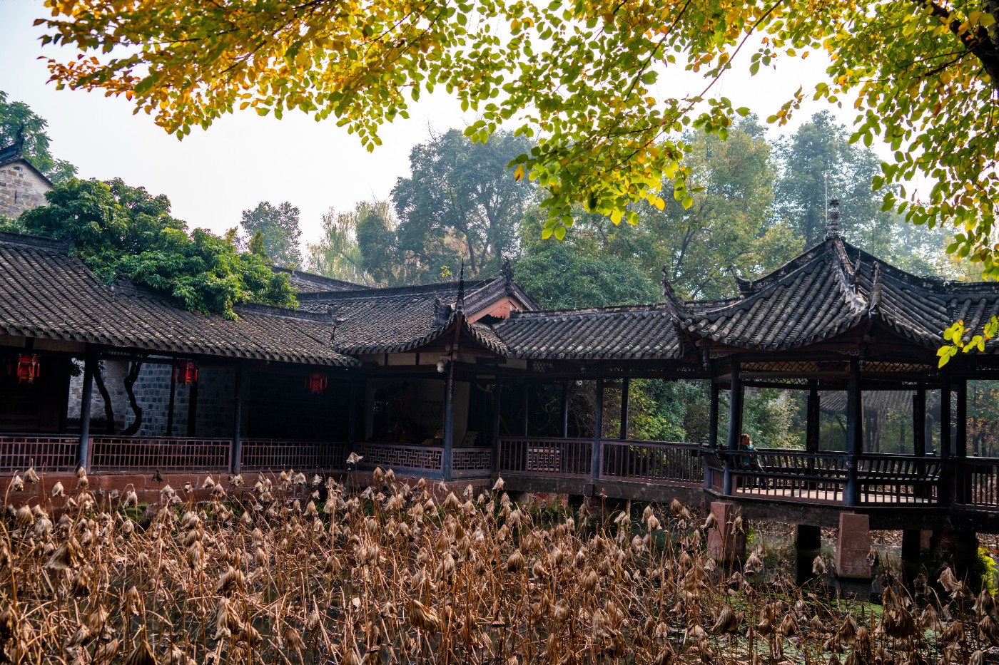 DSC08555 ����.jpg