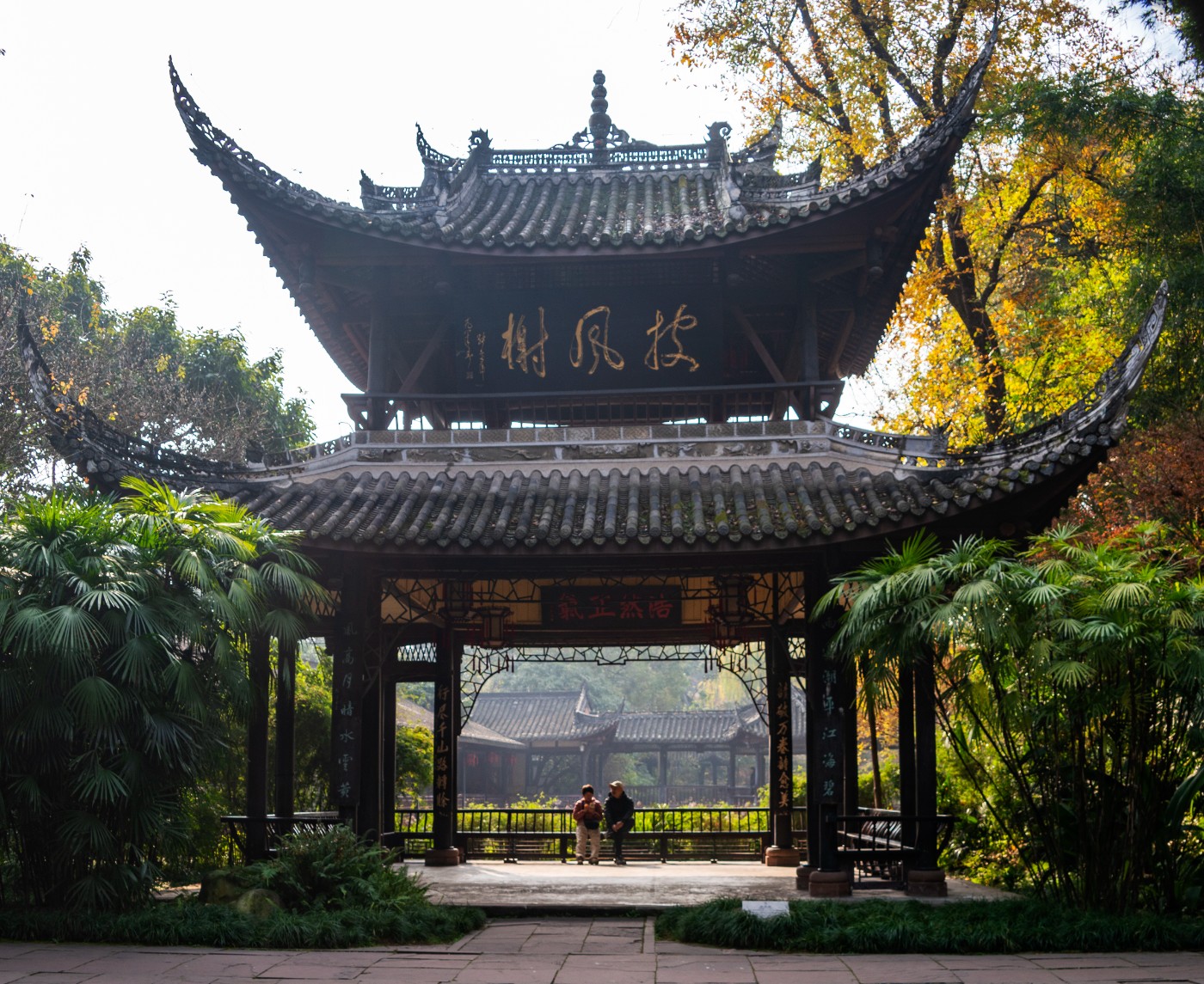 DSC08489 ����.jpg