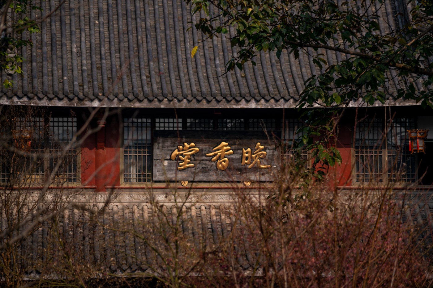 DSC08513 ����.jpg