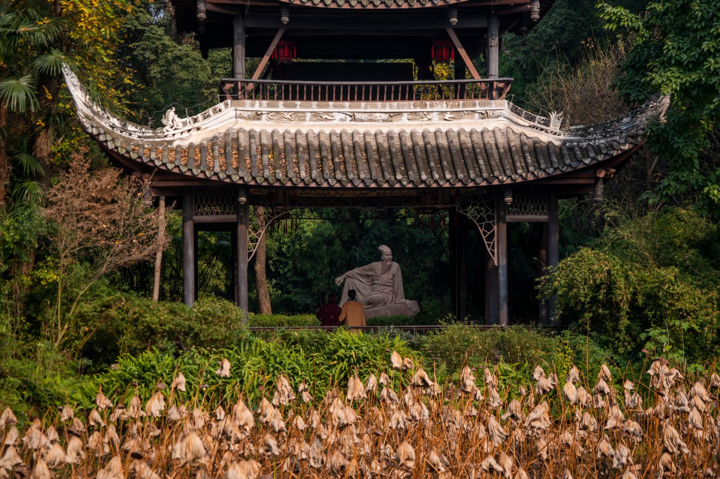 DSC08470 ����.jpg