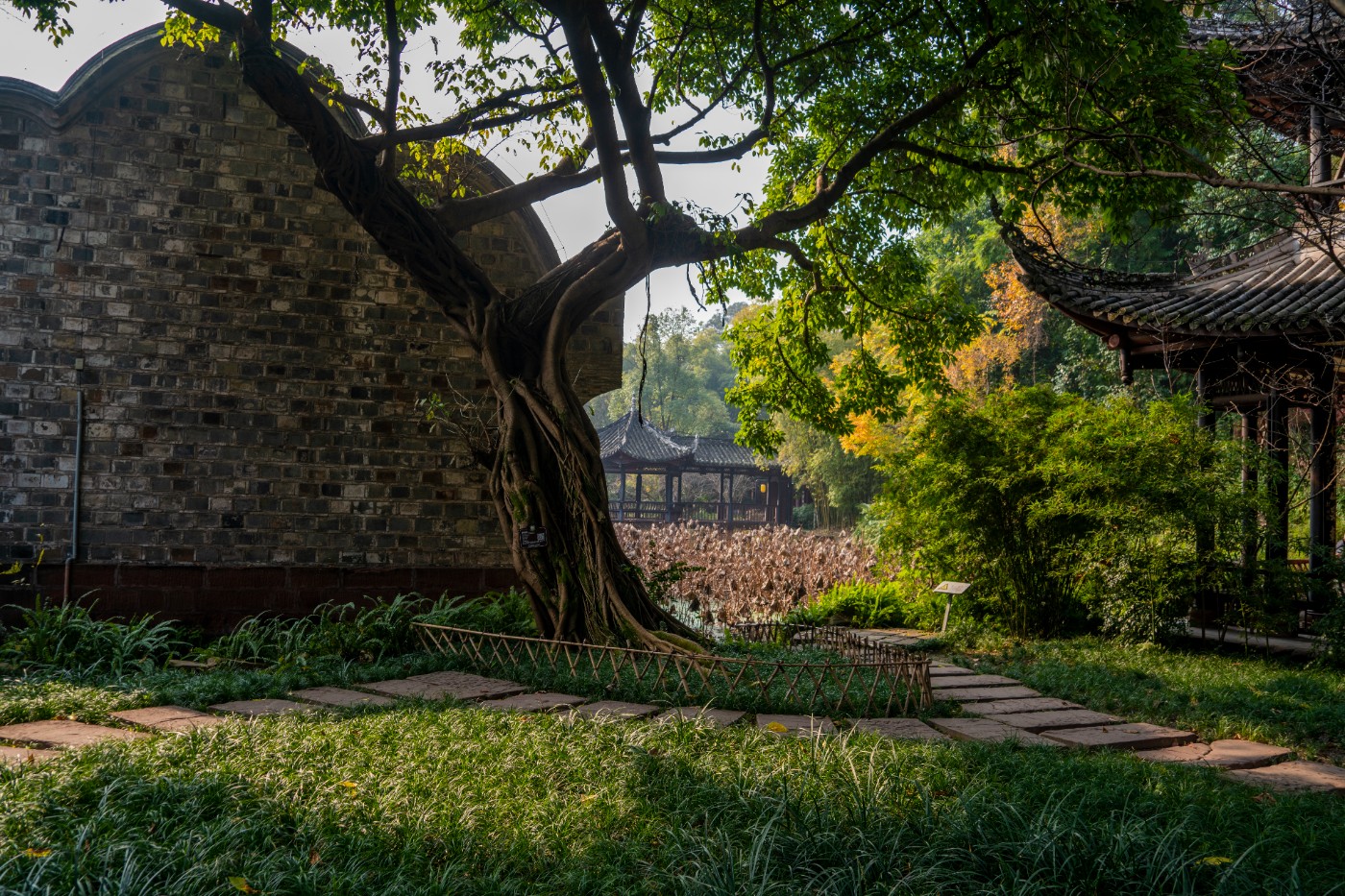 DSC08486 ����.jpg