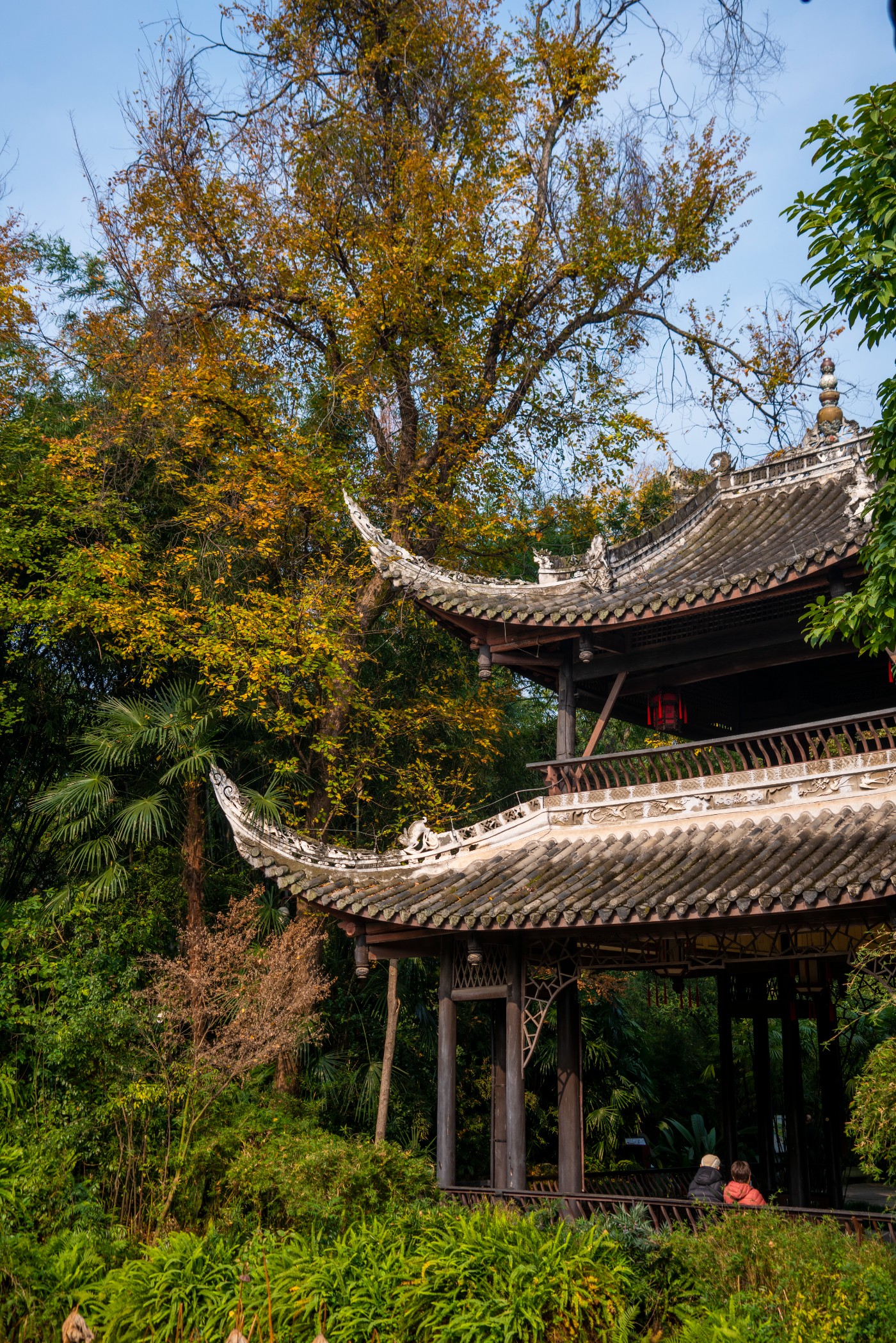 DSC08477 ����.jpg