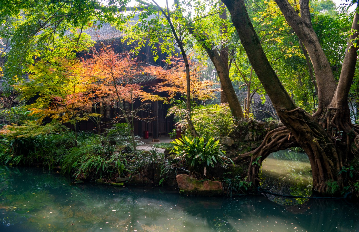 DSC08500 ����.jpg