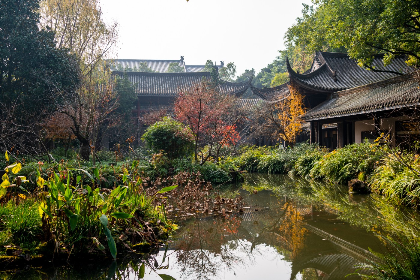 DSC08510 ����.jpg