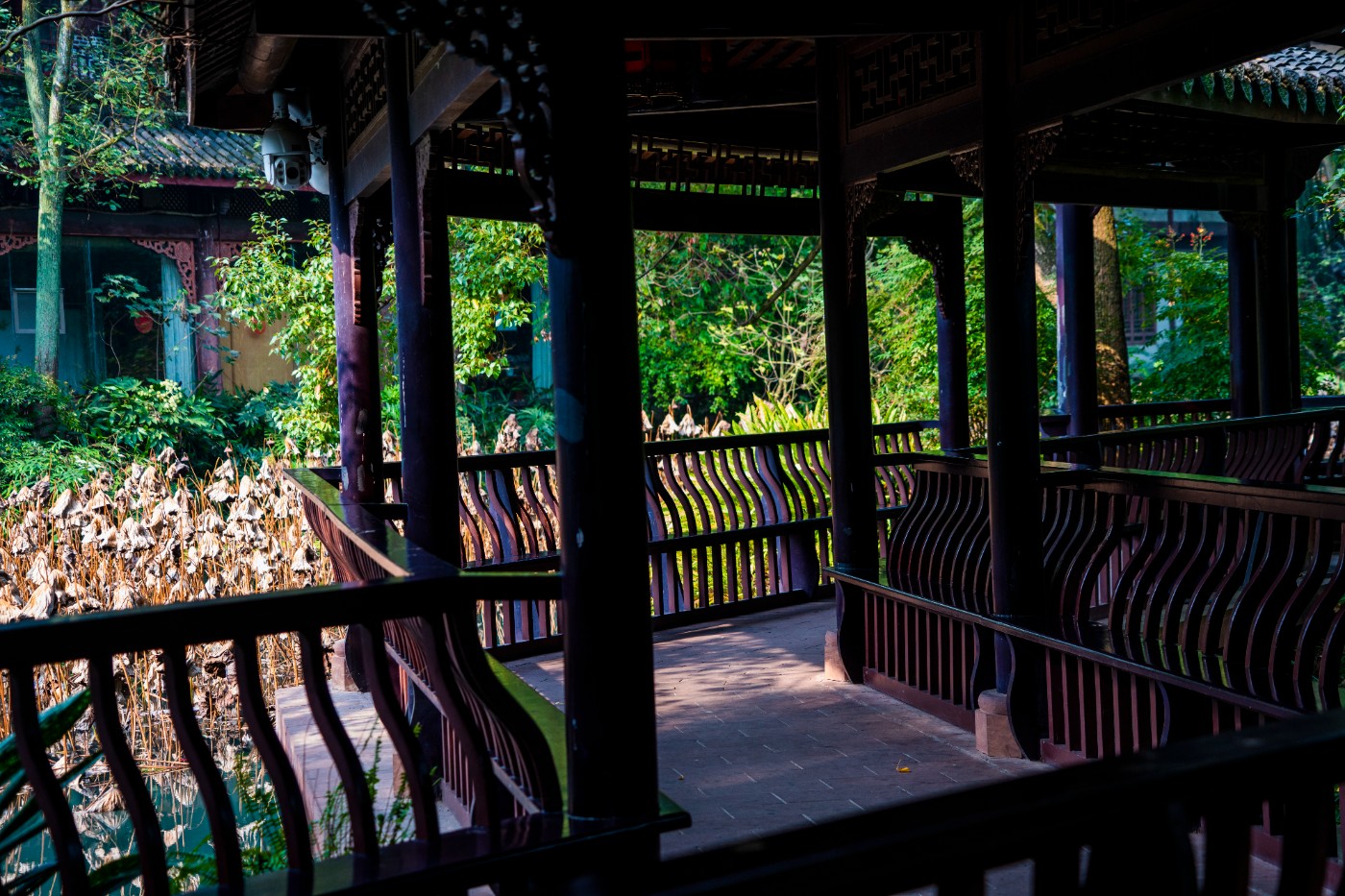 DSC08534 ����.jpg