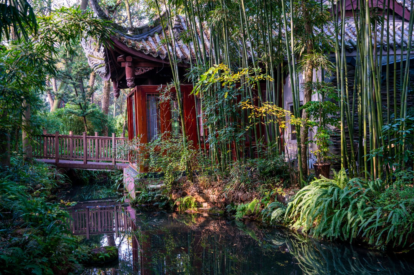 DSC08524 ����.jpg