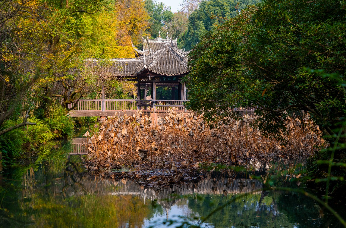 DSC08519 ����.jpg