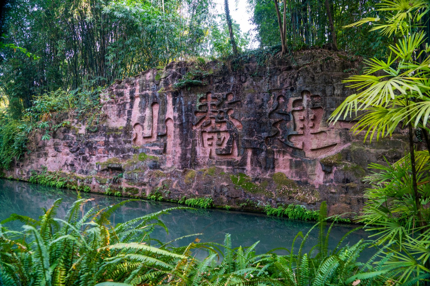 DSC08552 ����.jpg