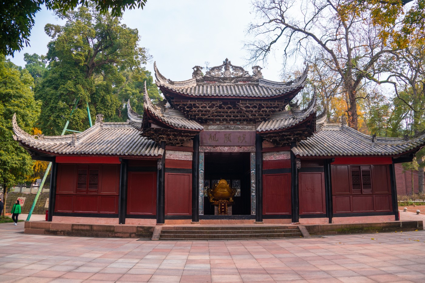 DSC08571 ����.jpg