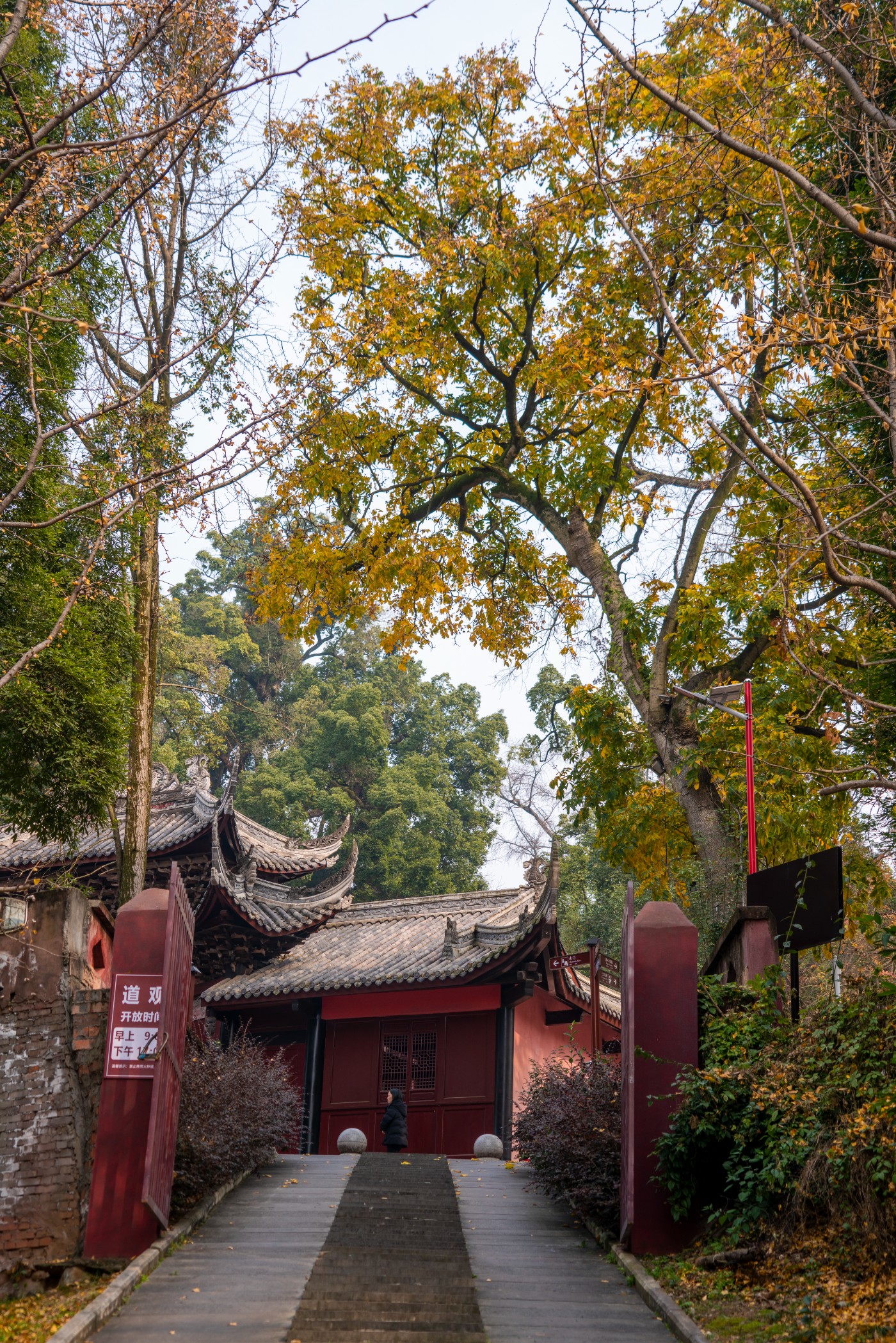 DSC08568 ����.jpg