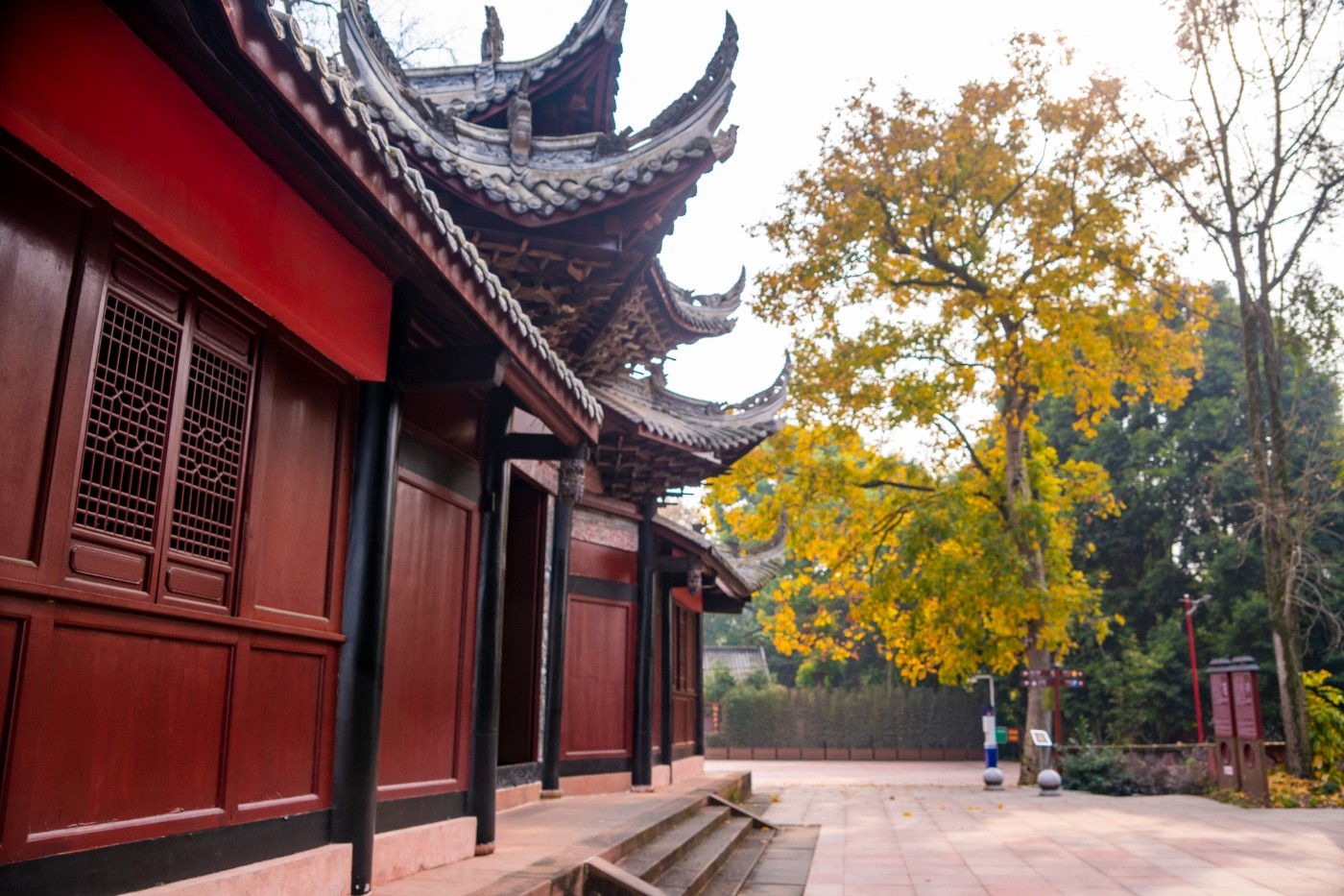 DSC08574 ����.jpg