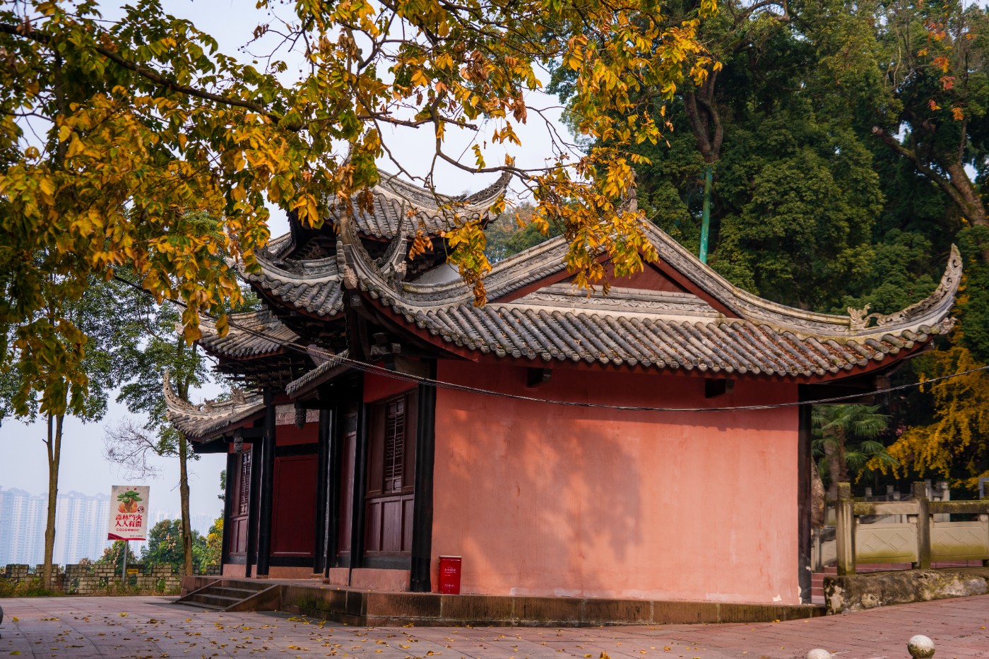 DSC08576 ����.jpg