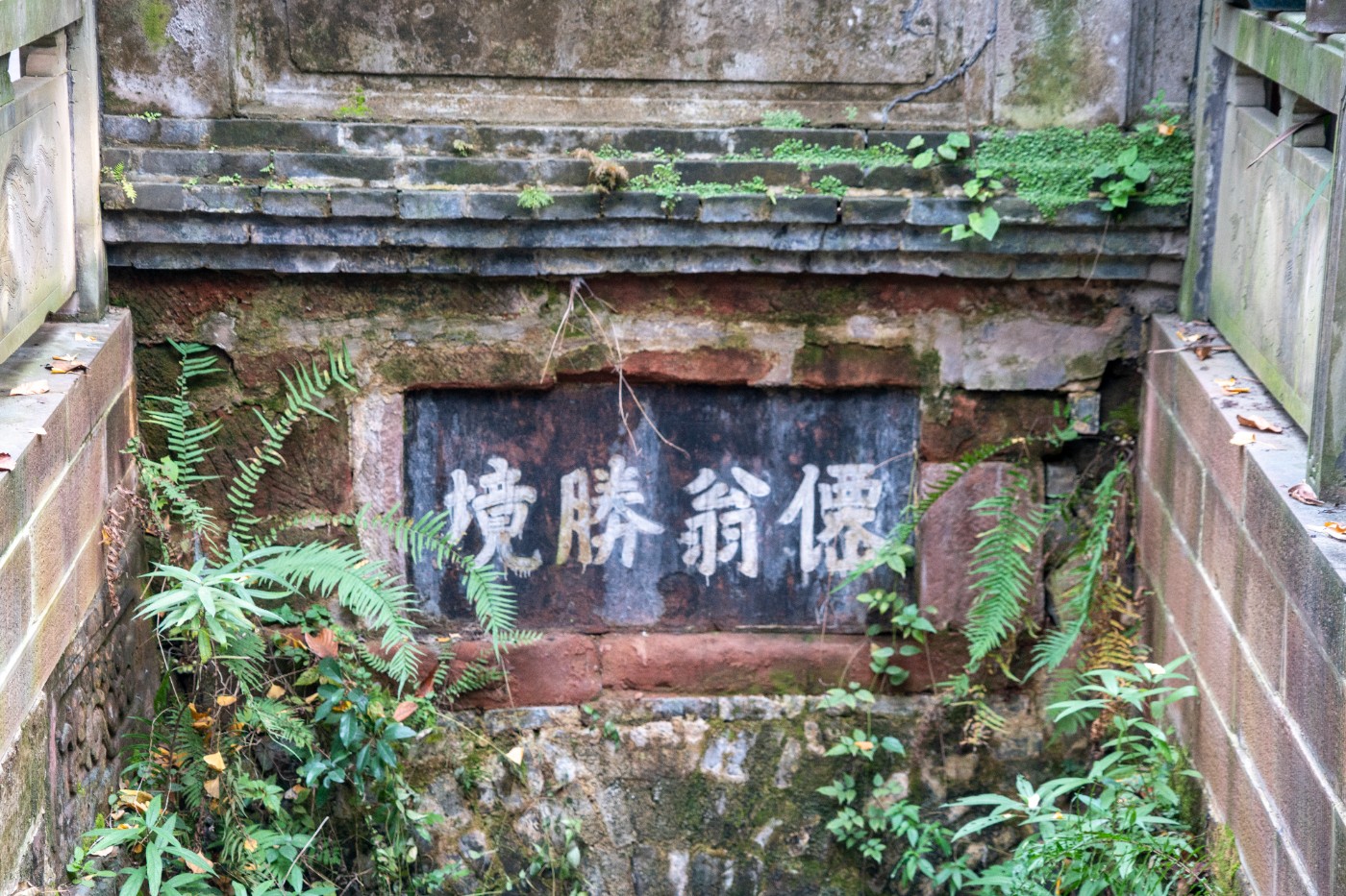 DSC08584 ����.jpg