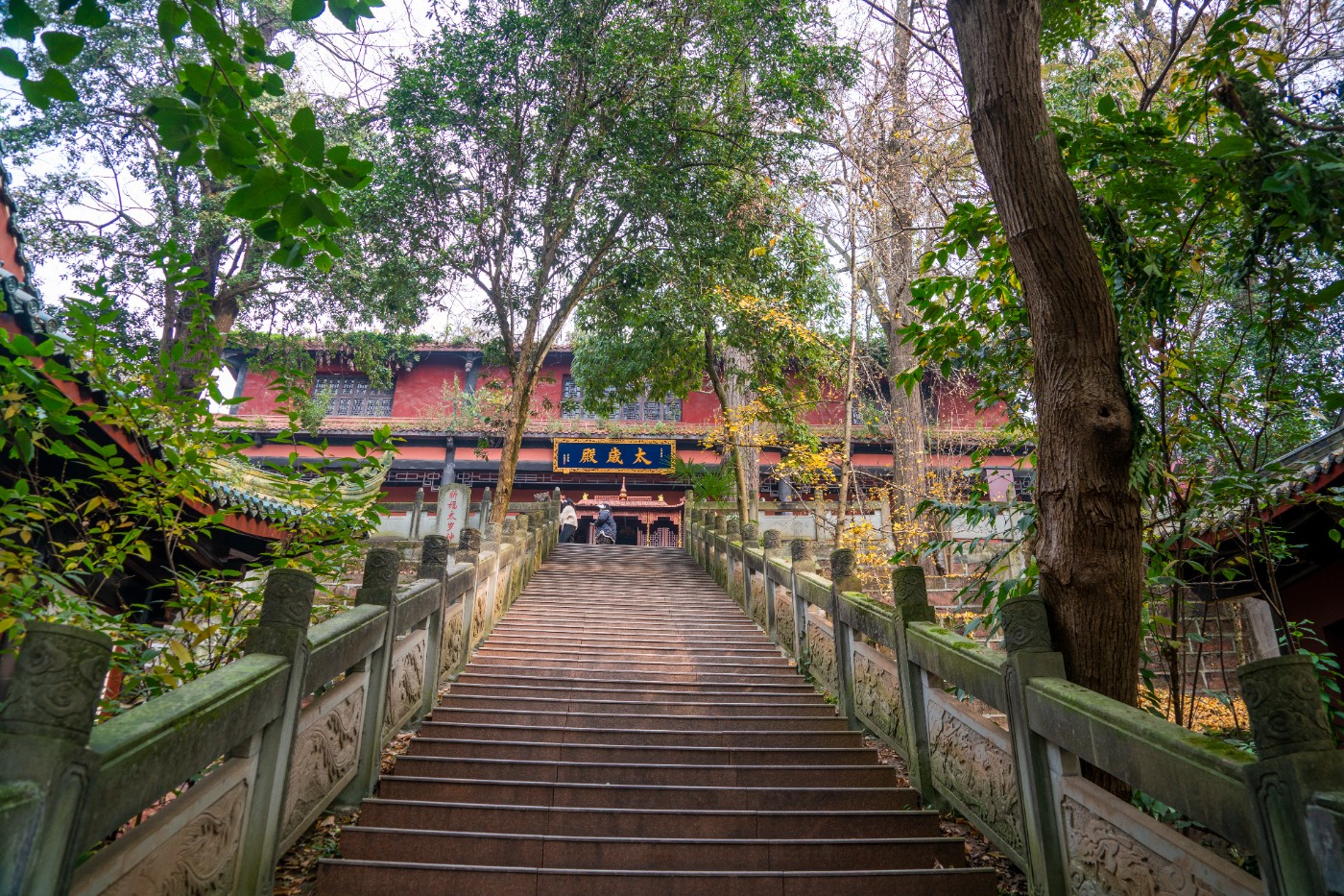 DSC08588 ����.jpg