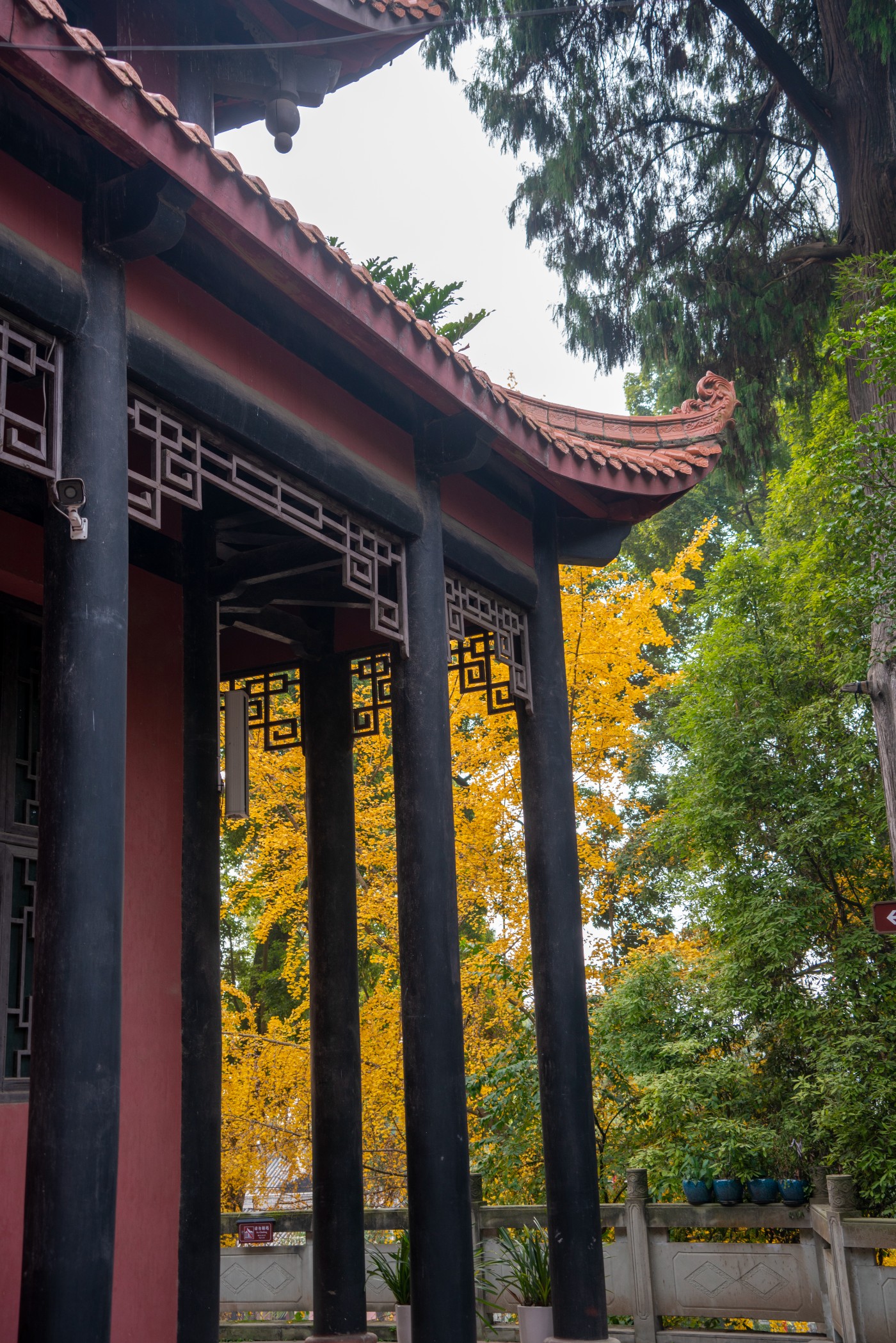 DSC08585 ����.jpg