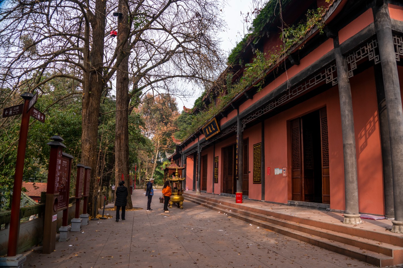 DSC08599 ����.jpg