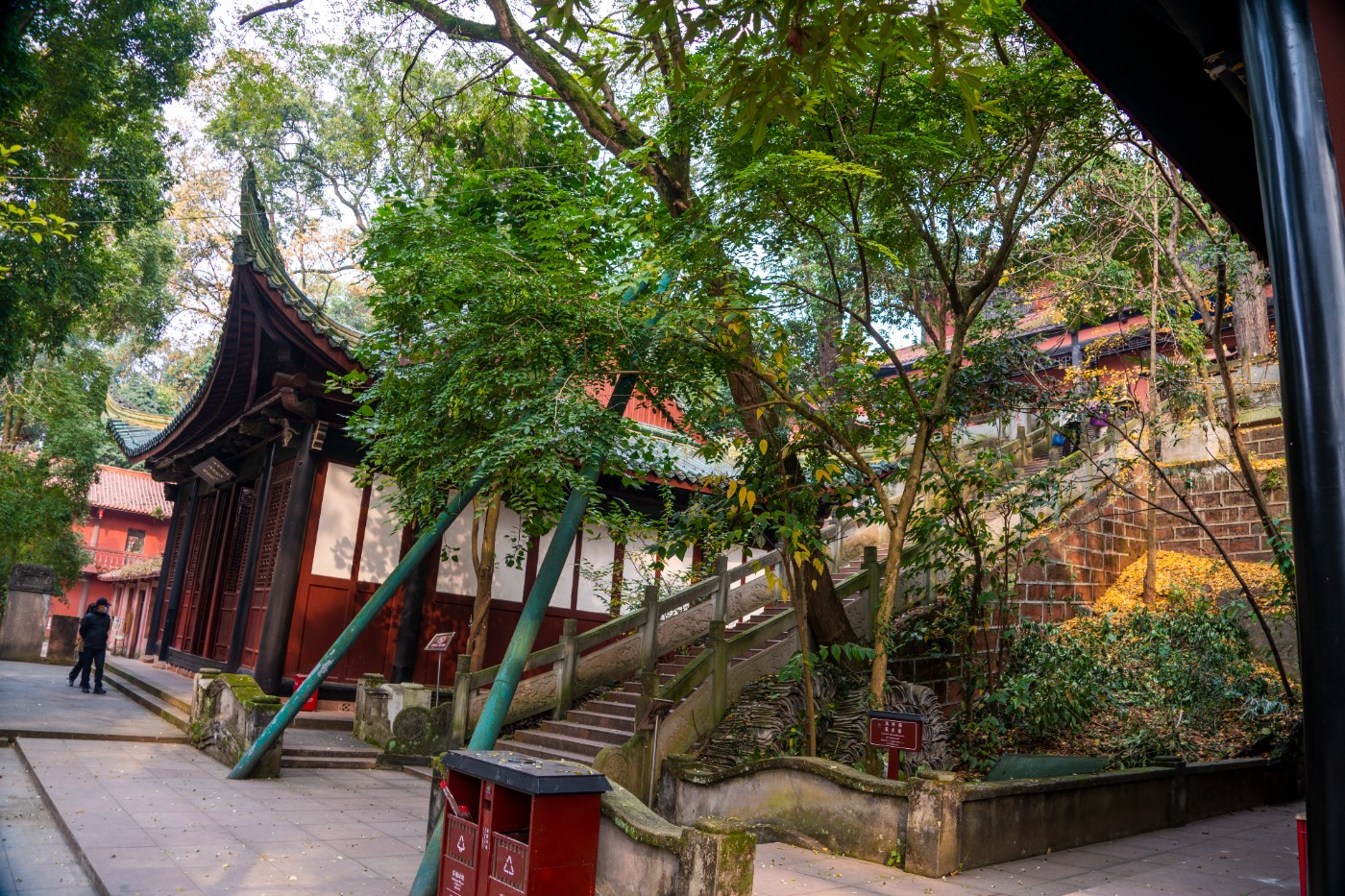 DSC08603 ����.jpg