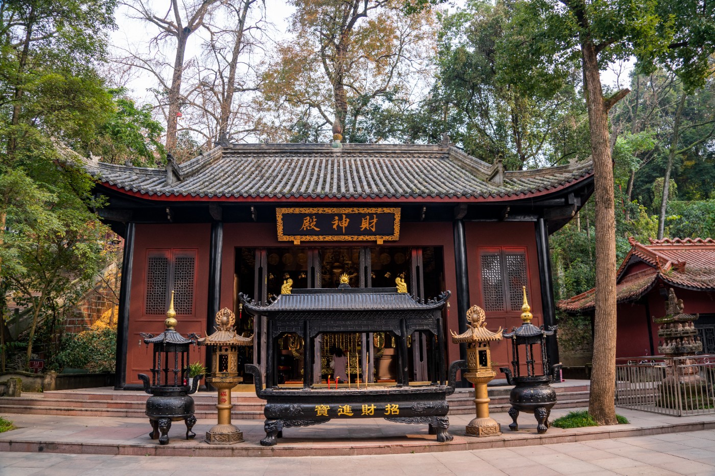 DSC08604 ����.jpg