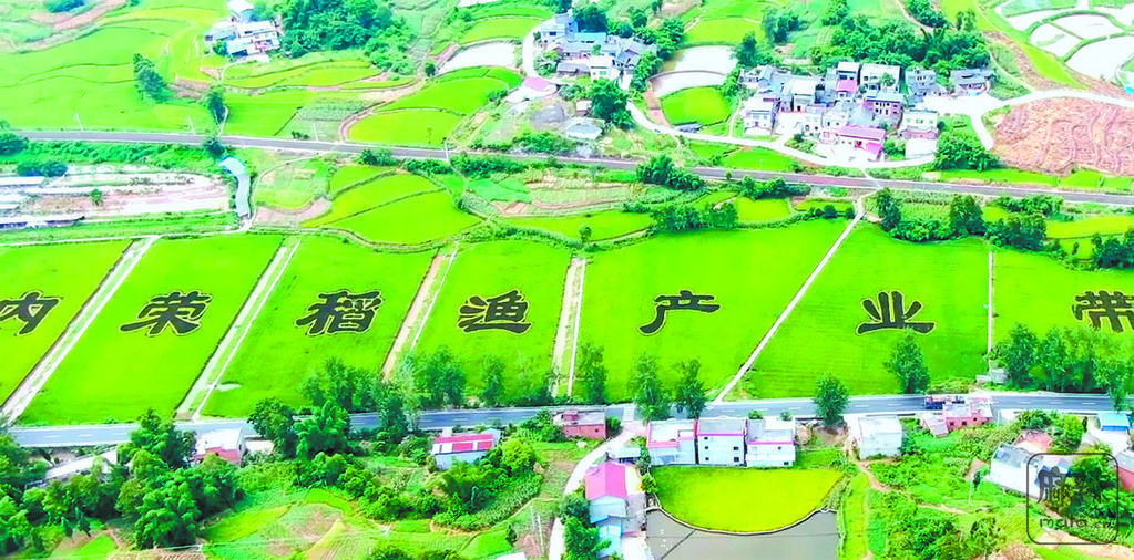 991e665e-b89e-4003-8409-5d9b965248b9.tif.2