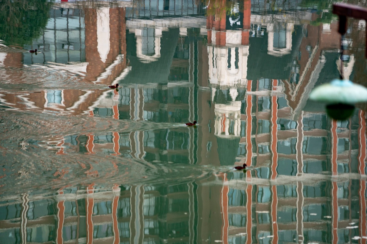 DSC08684 ����.jpg