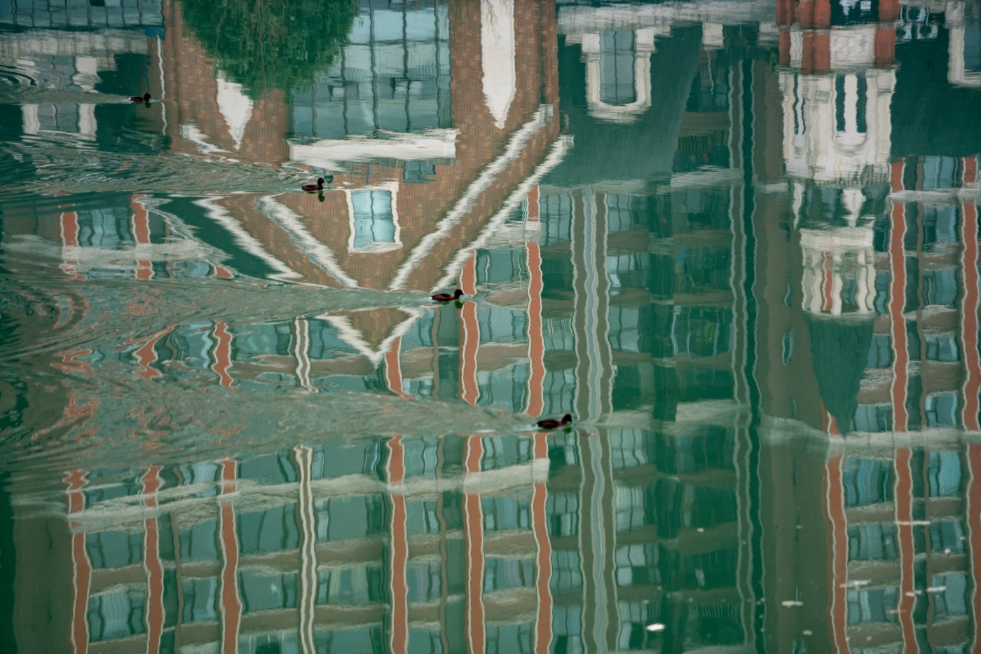 DSC08683 ����.jpg