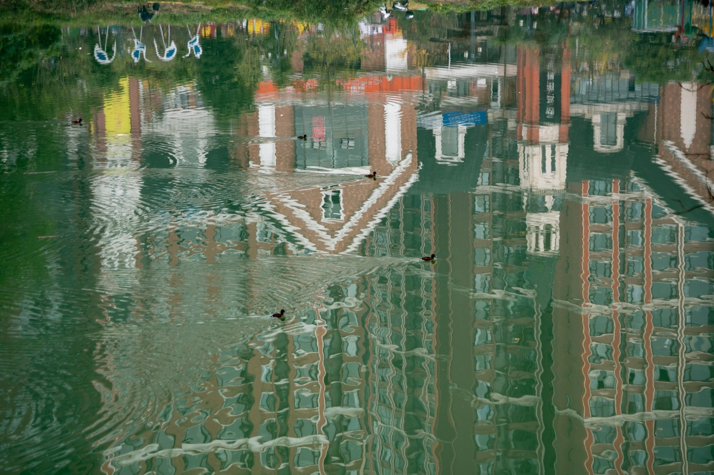 DSC08680 ����.jpg