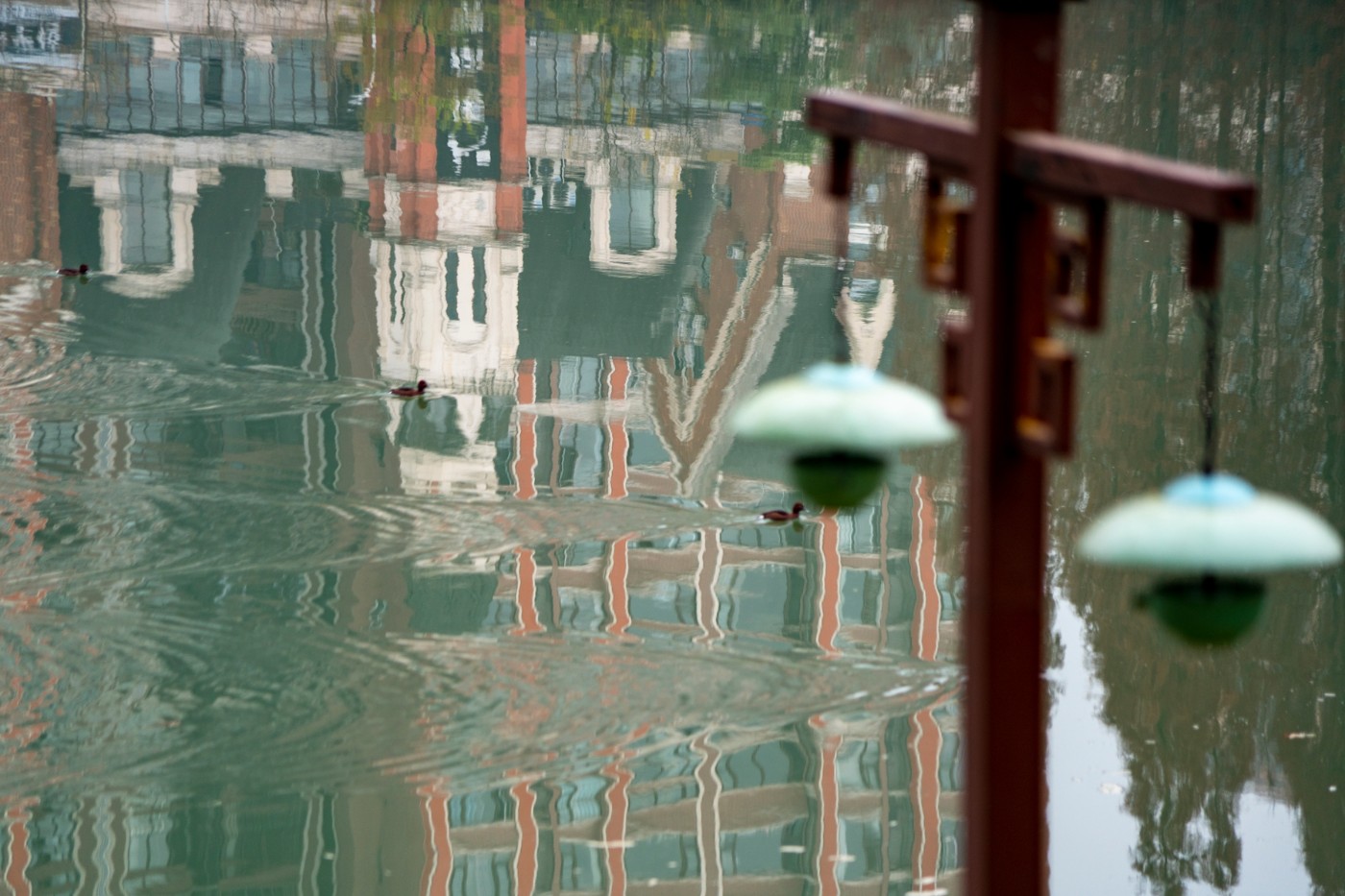 DSC08686 ����.jpg