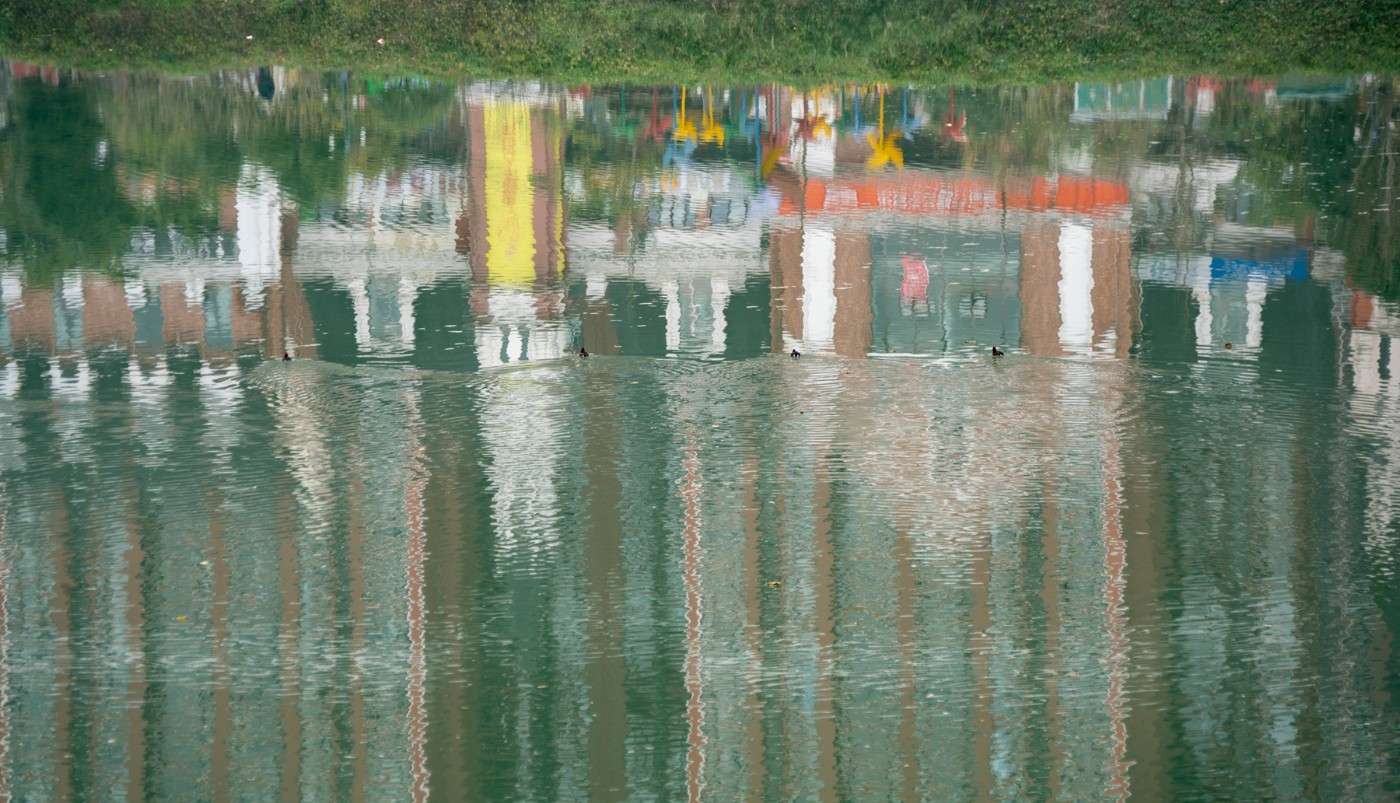 DSC08695 ����.jpg