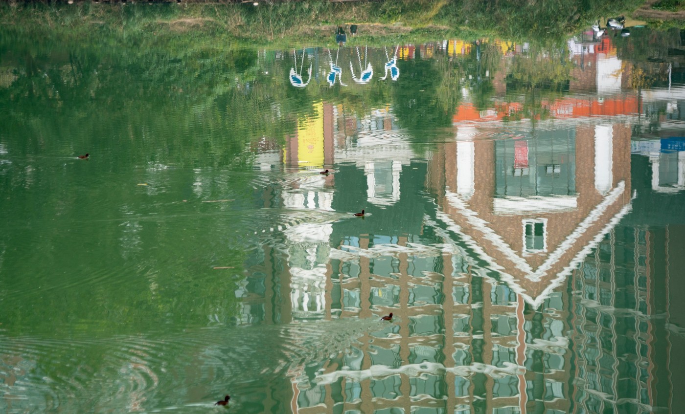 DSC08677 ����.jpg