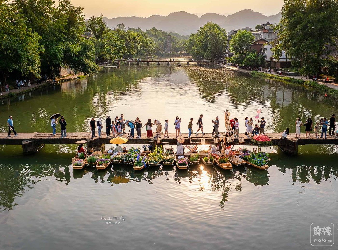 DJI_20250504175808_0334_D ���� 2-1.jpg