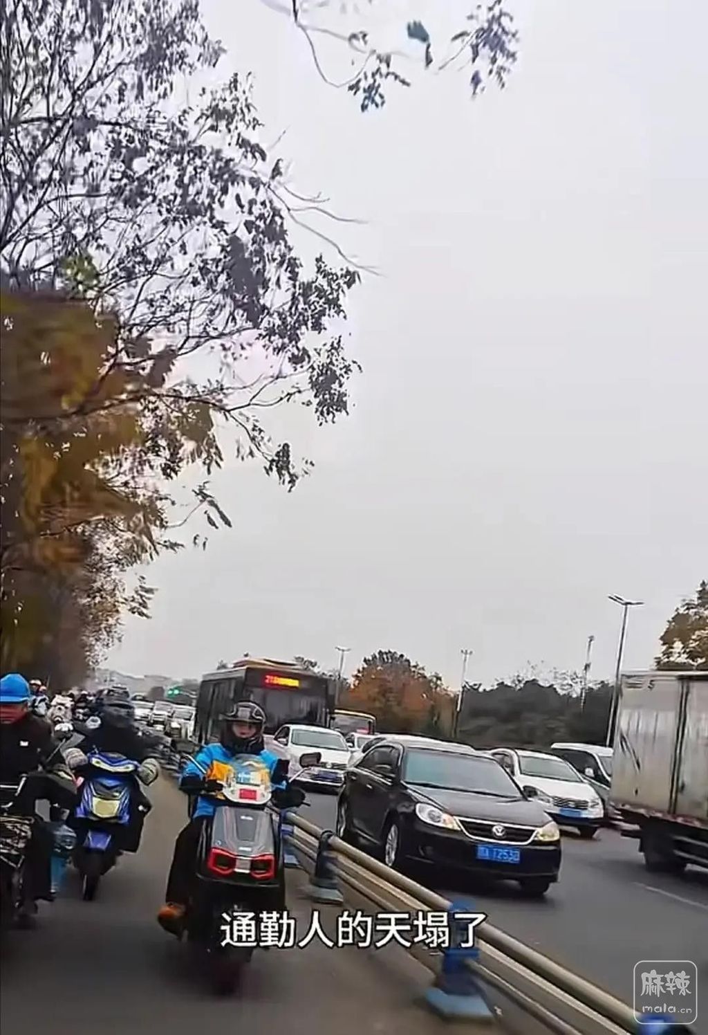 cd44315178434f6789ecdb0f27e152a4~tplv-obj:1080:1578.image