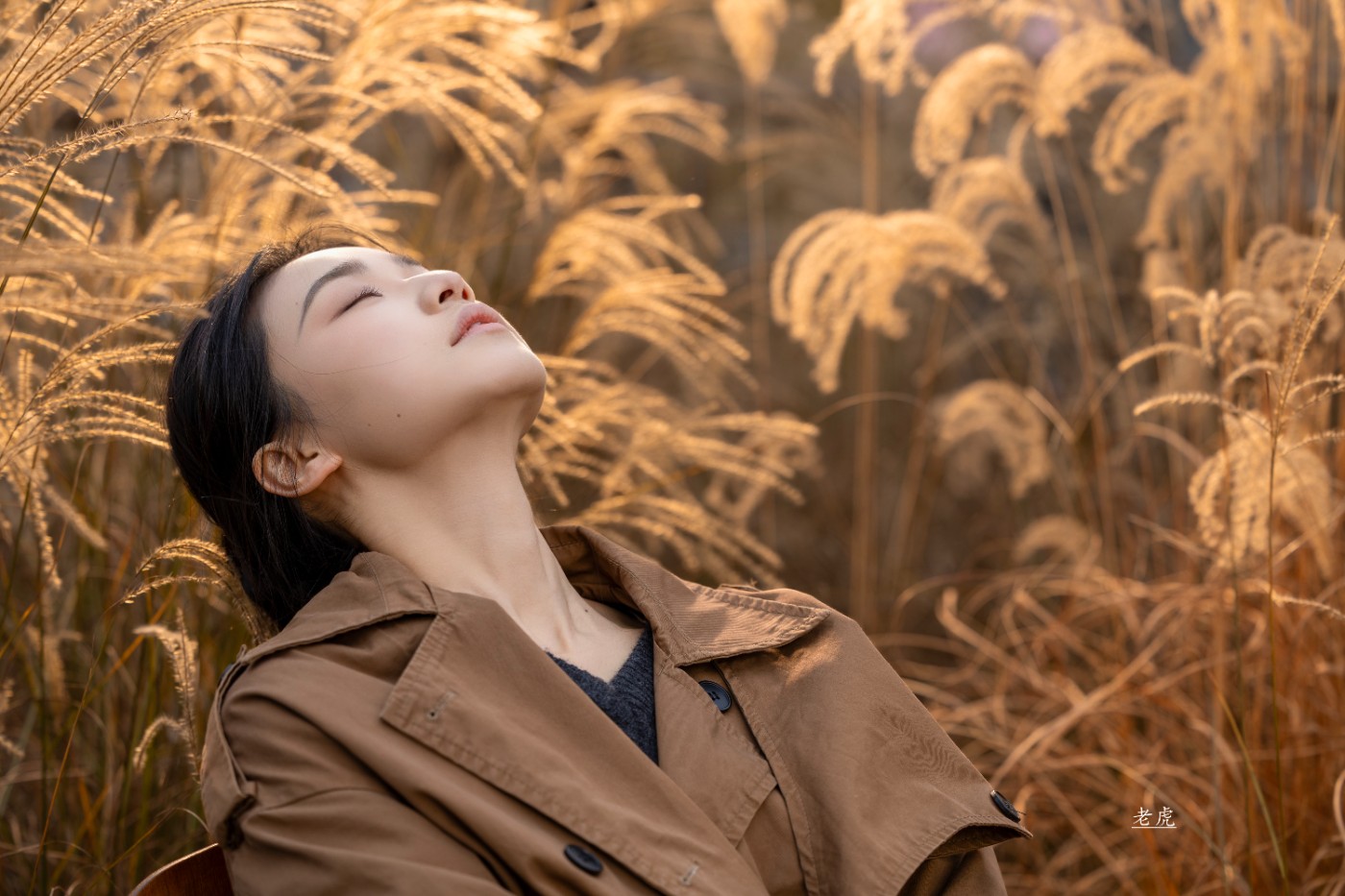 _P5A1162 - ���� ����.jpg