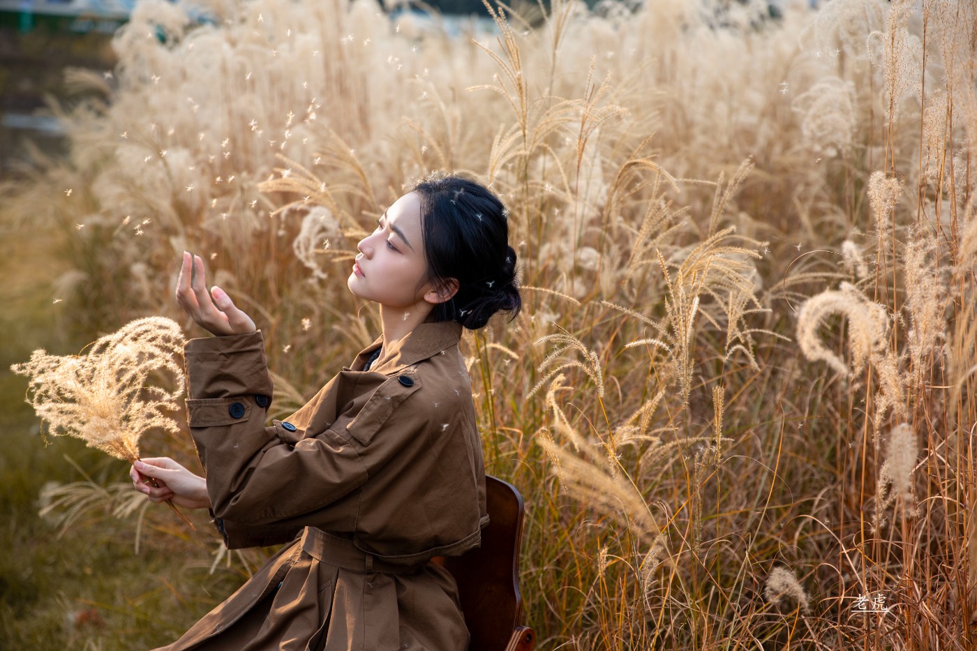 AR6P0043 - ���� ����.jpg