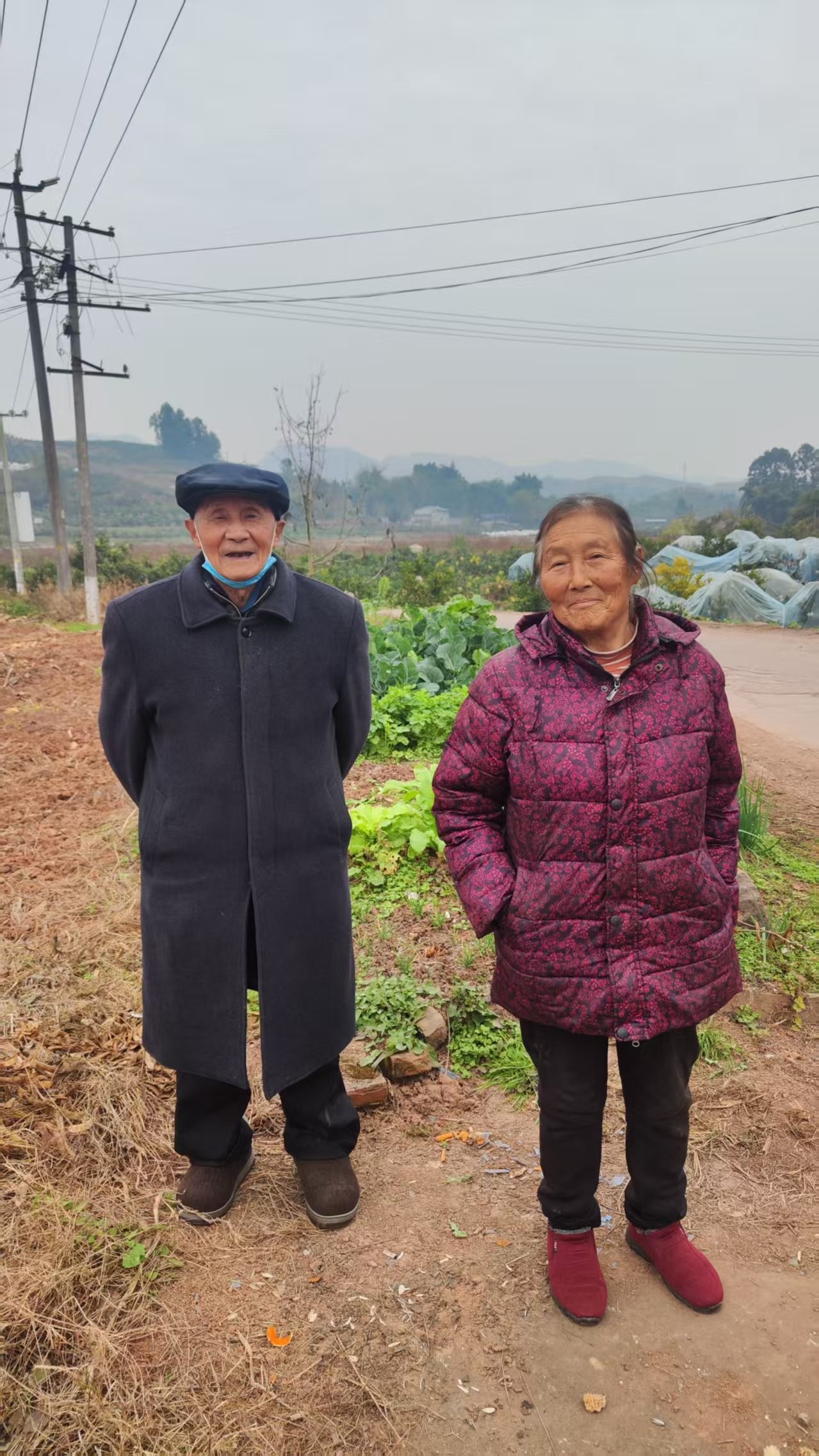 2025��12��25��   �ֳ�����