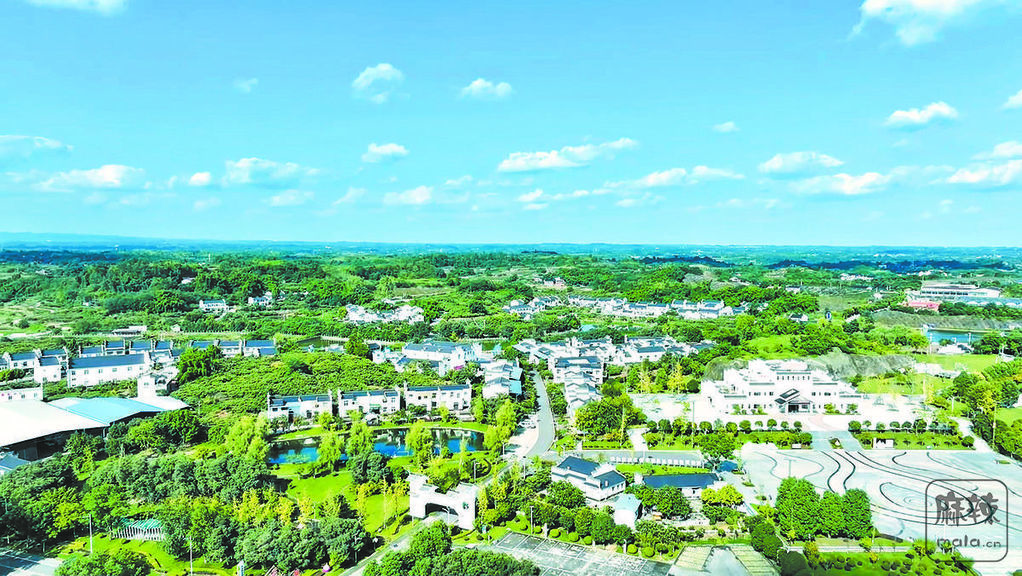 356c4812-0a00-40c7-b282-7dfb6e591e4d.tif.2