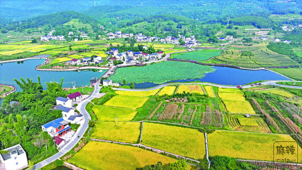 da3454bd-dd71-4a02-b3ed-9ecef6d270b2.tif.2