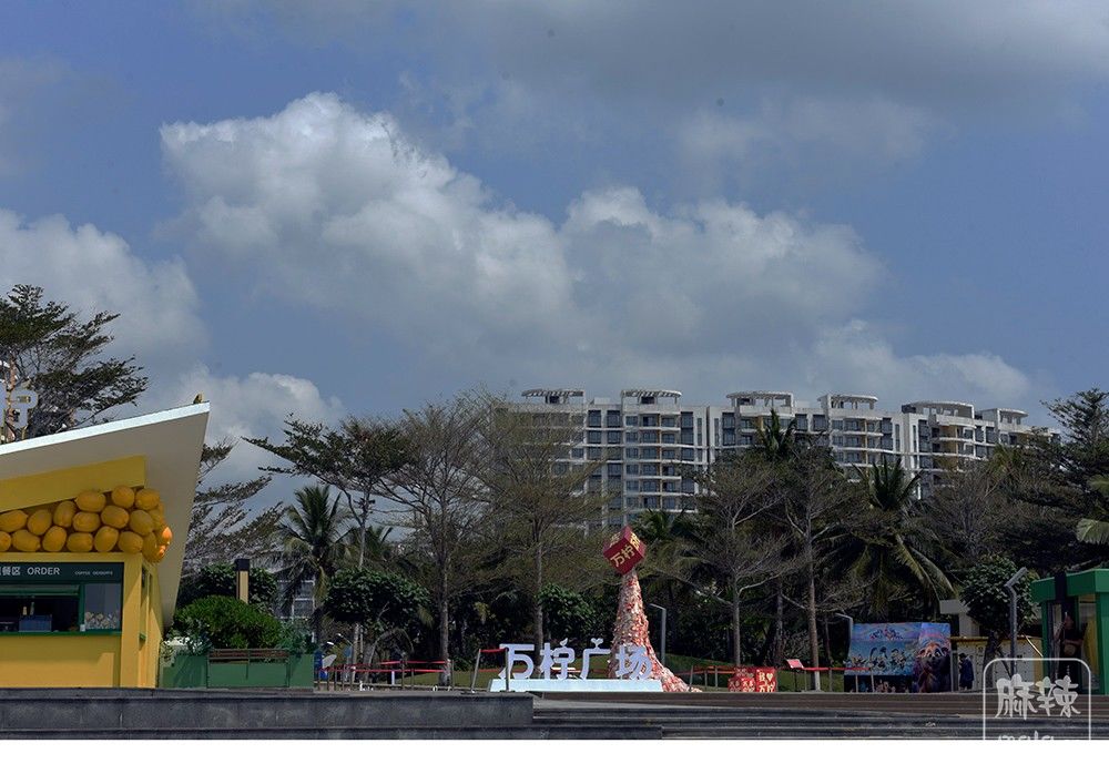 _DSC6378 ����.jpg