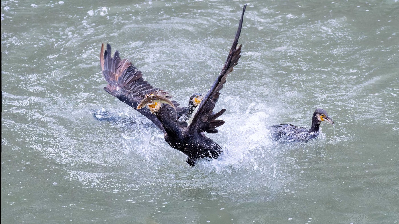 _C270068-ORF_DxO_DeepPRIMEXD ����.jpg